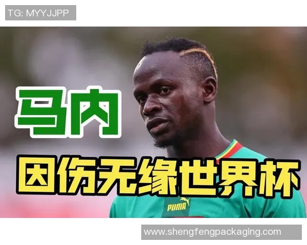 十大足球球星因韧带断裂遭遇职业生涯重大挑战的故事 十大足球球星因韧带断裂遭遇职业生涯重大挑战的故事