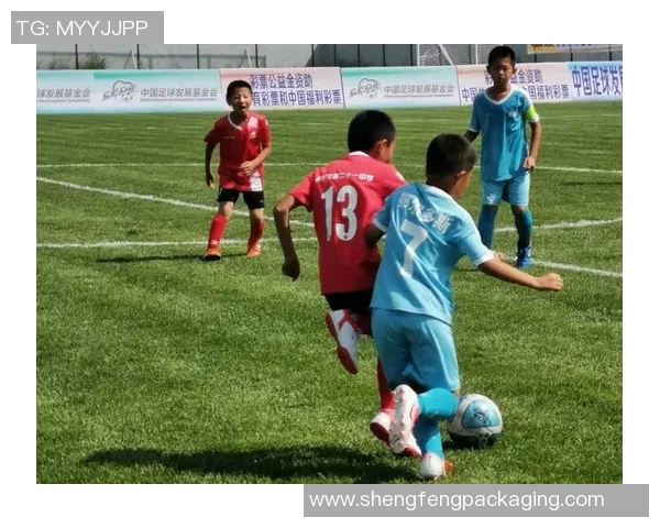 足球场小球星标识图解说解析青少年足球发展与训练核心要素 足球场小球星标识图解说解析青少年足球发展与训练核心要素