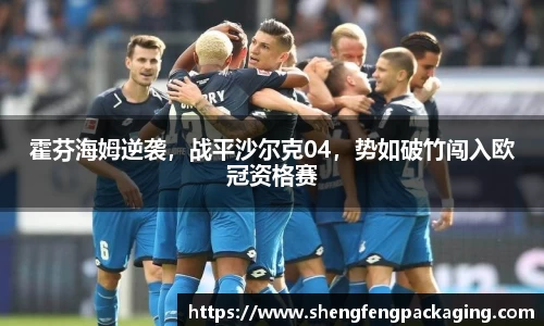 霍芬海姆逆袭，战平沙尔克04，势如破竹闯入欧冠资格赛