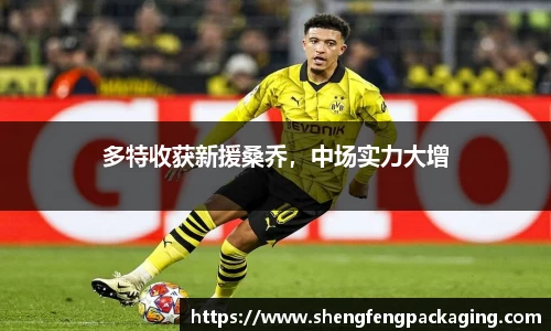 多特收获新援桑乔，中场实力大增