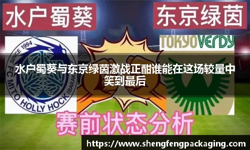水户蜀葵与东京绿茵激战正酣谁能在这场较量中笑到最后