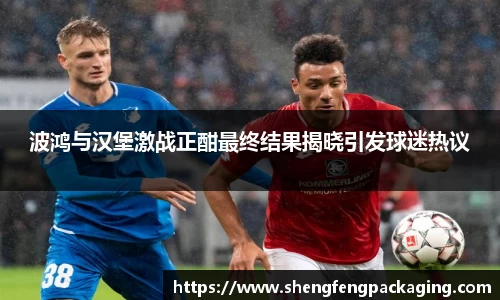 波鸿与汉堡激战正酣最终结果揭晓引发球迷热议